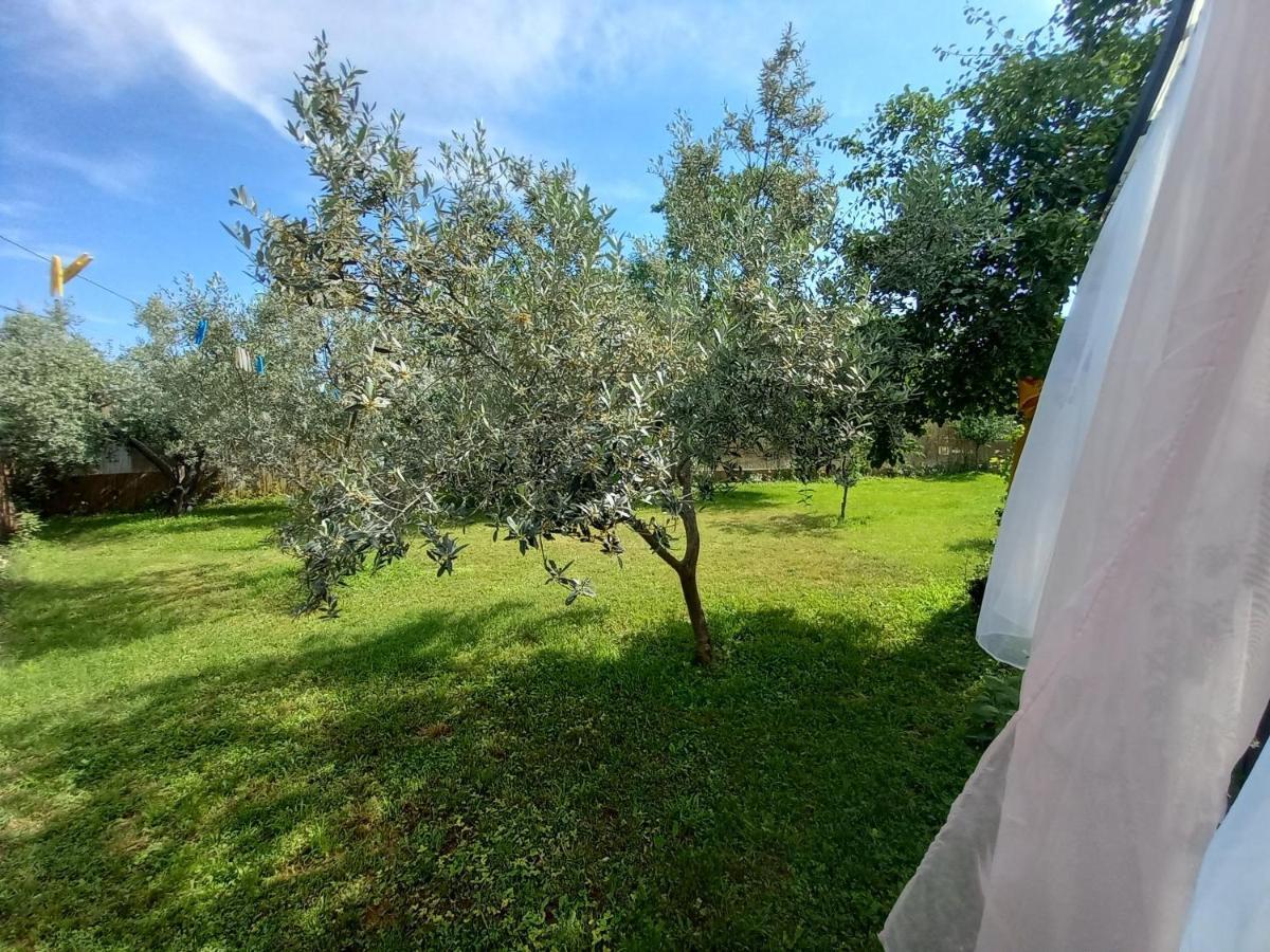 Holiday House Chill Out Loborika Marčana Εξωτερικό φωτογραφία